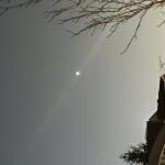 Profile picture of ElloSomeOne